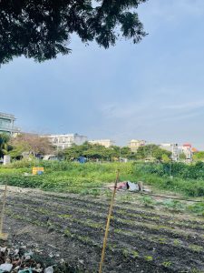 LÔ ĐẤT 4 MẶT TIỀN TRUNG TÂM BIÊN HOÀ – GIÁ TỐT CHO NHÀ ĐẦU TƯ