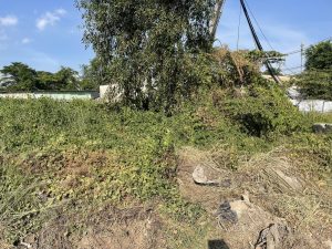 ĐẤT MẶT TIỀN LONG PHƯỚC – LONG THÀNH – ĐỒNG NAI