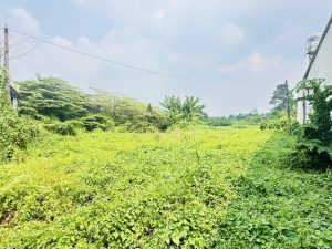 CƠ HỘI VÀNG SỞ HỮU ĐẤT MẶT TIỀN LỚN TẠI THỦ DẦU MỘT, BÌNH DƯƠNG!