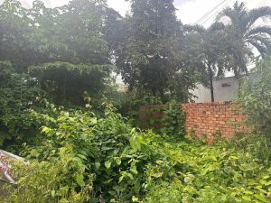 CƠ HỘI SỞ HỮU ĐẤT LỚN 400M2 DĨ AN – MẶT TIỀN XE TẢI, TIỆN ÍCH ĐẦY ĐỦ!