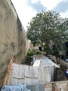 LÔ ĐẤT VỊ TRÍ ĐẸP 118M² BÌNH ĐƯỜNG 1 – CƠ HỘI ĐẦU TƯ SIÊU LỢI NHUẬN! 🔥