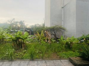 BÁN ĐẤT PHÂN LÔ ĐẸP, SỔ RIÊNG, VỊ TRÍ ĐẮC ĐỊA – LONG TRƯỜNG, THỦ ĐỨC! 🏡🔥