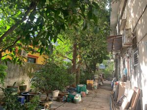 SỞ HỮU BIỆT THỰ CỔ KẾ CẠNH PHÚ MỸ HƯNG, VỊ TRÍ VÀNG ĐỂ ĐẦU TƯ!