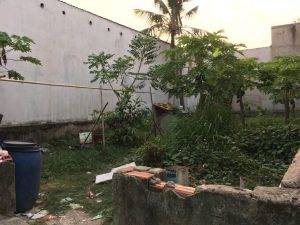 ĐẤT VÀNG THỦ ĐỨC – VỊ TRÍ ĐẸP – SỔ ĐỎ CHÍNH CHỦ!