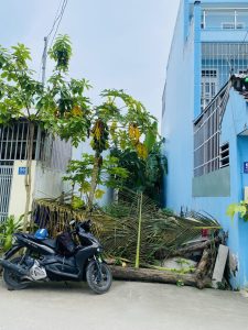 LÔ ĐẤT VUÔNG VỨC 88M2 – VỊ TRÍ ĐẮC ĐỊA NGAY ĐƯỜNG LÒ LU – CƠ HỘI XÂY NHÀ PHỐ LÝ TƯỞNG!