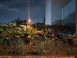 LÔ GÓC ĐẸP – KHU PHÂN LÔ – NGAY CẦU ÔNG NHIÊU, LONG TRƯỜNG, THỦ ĐỨC!