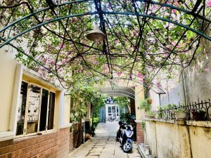 CHỦ GẤP BÁN BIỆT THỰ CỔ QUẬN 7 – VỊ TRÍ ĐẮC ĐỊA MẶT TIỀN TÂN THUẬN TÂY! 🏡✨