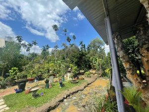 BIỆT THỰ SÂN VƯỜN SIÊU RỘNG, GẦN SÔNG SÀI GÒN – VỊ TRÍ ĐẮC ĐỊA TẠI BÌNH NHÂM, BÌNH DƯƠNG! 🌳🏡