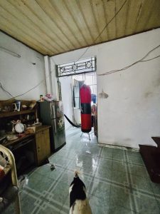 BÁN NHÀ ĐẸP TẠI PHƯỜNG 9 TÂN BÌNH