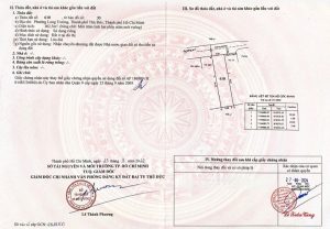 💥 ĐẤT NỀN 103M2 TẠI LONG TRƯỜNG, VỚI LỢI THẾ GẦN UBND VÀ HẠ TẦNG ĐẦY ĐỦ! 🌟🏡