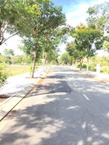 BẤT ĐỘNG SẢN TRƯỜNG THẠNH: LÔ ĐẤT ĐẸP, GIÁ TỐT NHẤT KHU VỰC, CƠ HỘI KHÔNG THỂ BỎ QUA!