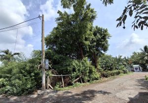 BÁN GẤP LÔ ĐẤT VÀNG SỔ RIÊNG NGANG 16M MẶT TIỀN QUỐC LỘ 13, THỦ ĐỨC!